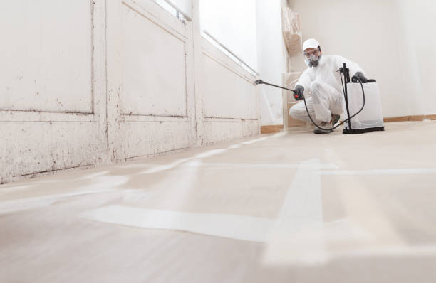 24/7 Emergency Black Mold Remediation experts in Bridgeport, PA